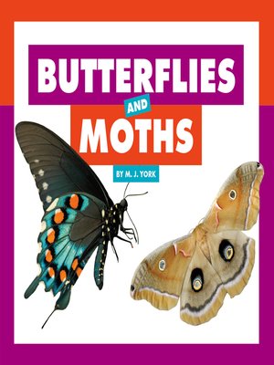 cover image of Butterflies and Moths